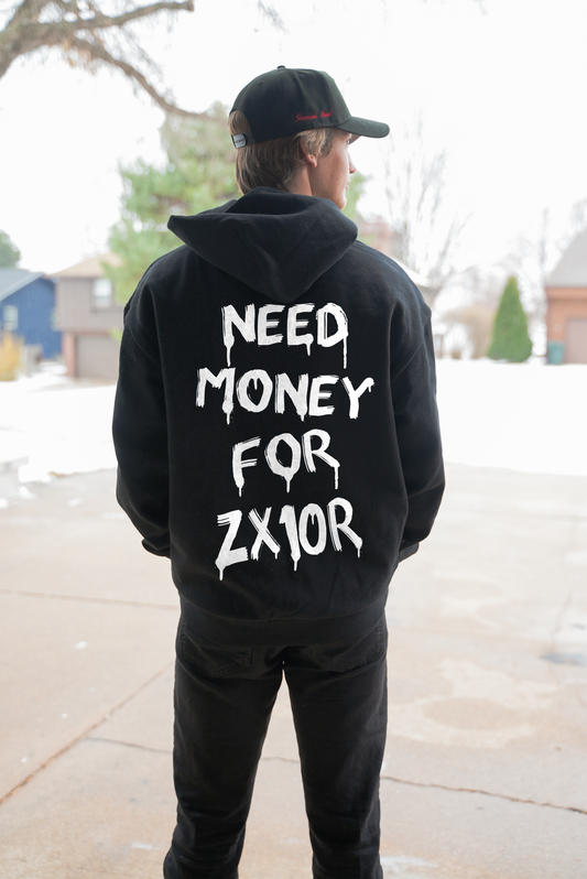 Need Money For ZX10R